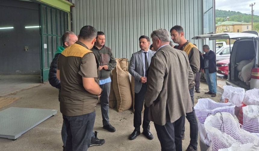 Cide’de TMO Fındık Alım Merkezine ziyaret