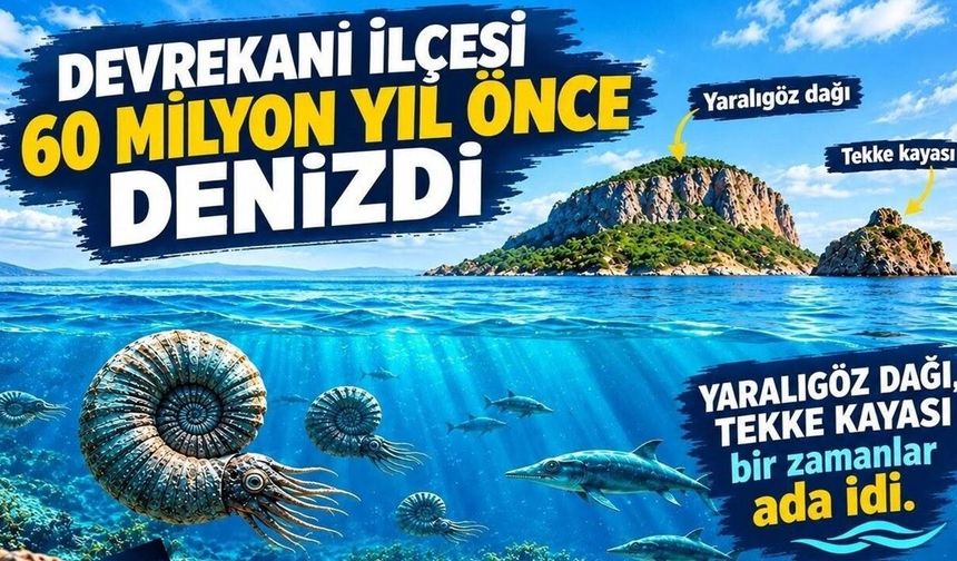 Devrekani, 60 milyon yıl önce denizdi: Yaralıgöz adaydı!