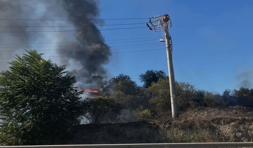 Tosya D100’deki yangının bilançosu ağır oldu