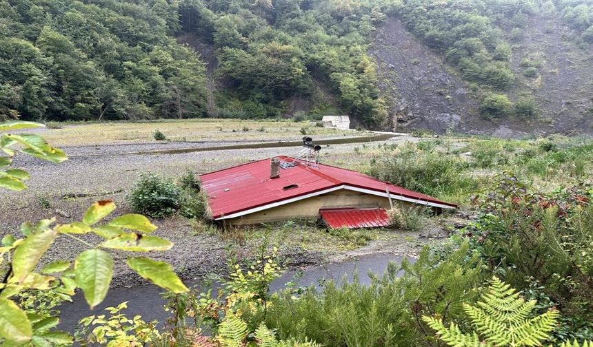 Kastamonu'da görenler hayrete düşüyor!