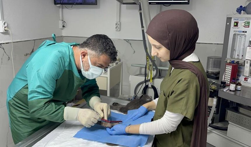 Kastamonu'da 8'nci kattan düştü: 4 günde yürümeye başladı
