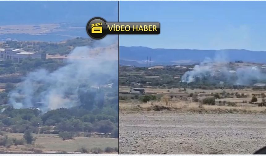 Tosya'da dumanlar yükseldi: Ekipler bölgede