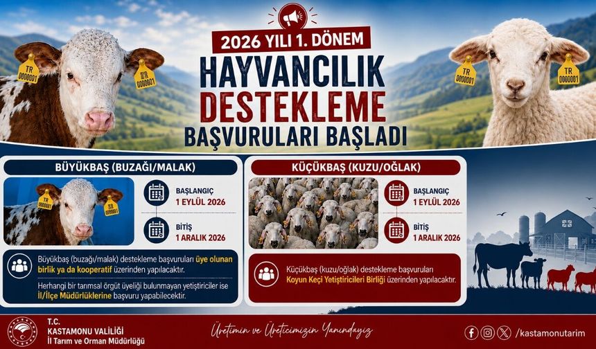 Kastamonu’da hayvancılık desteği başvuruları başladı