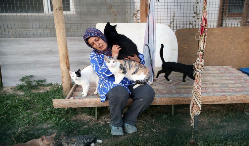 Kastamonu'da kanseri yendi: 120 kediye annelik yapıyor