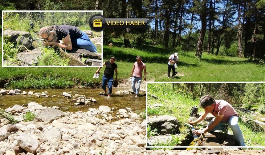 Kastamonu'da tansiyon ve diyabet hastaları bu suda şifa arıyor