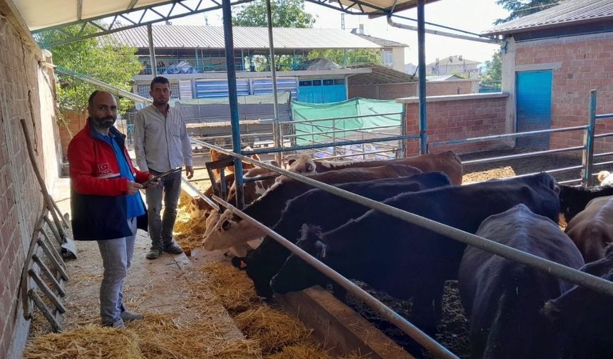 Kırsalda Bereket Projesi Taşköprü’de sahada takip ediliyor