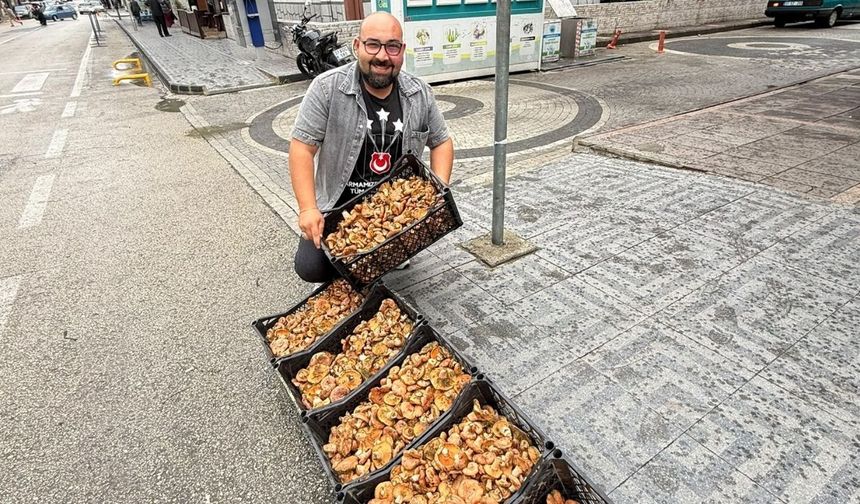Taşköprü’de sezonun ilk Kanlıcaları pazara indi