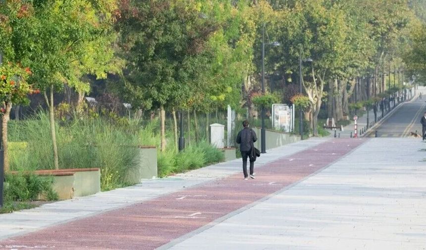 Türkiye yeşil kampüslerde Avrupa’nın zirvesinde