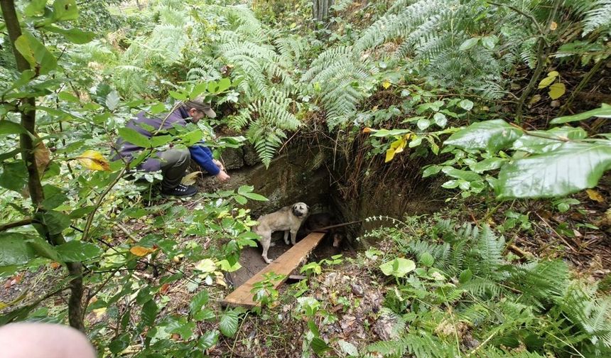Kastamonu'da ekipler 2 can için seferber oldu