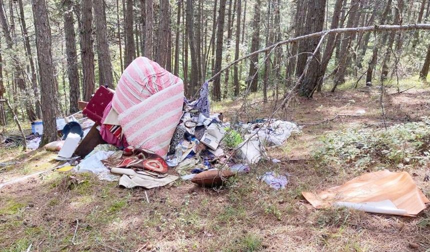 Kastamonu'da çirkin görüntü: Sorumlular cezalandırılsın!
