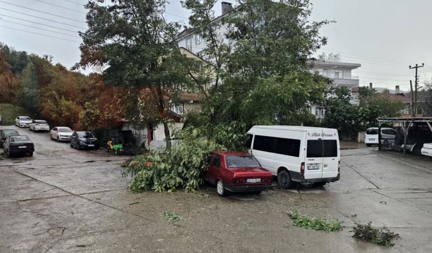 Kastamonu'da fırtına hayatı felç etti! Çatılar uçtu, ağaçlar devrildi