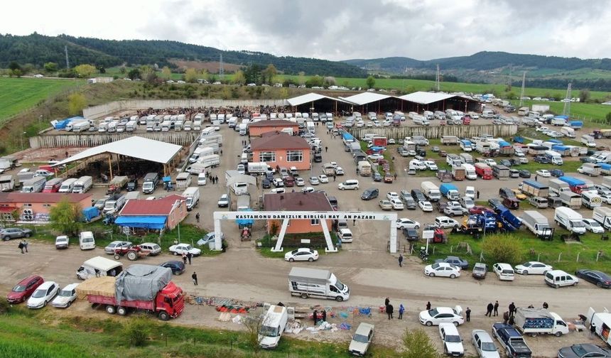 Kastamonu’da tüm hayvan pazarlarına kilit vuruldu!
