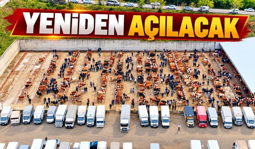 Kastamonu'da üreticilere müjde! Hayvan Pazarı yeniden açılıyor