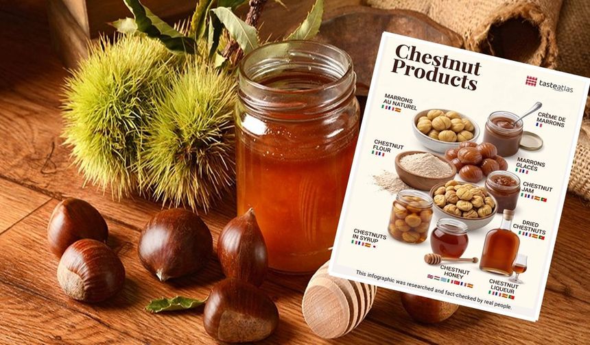 TasteAtlas’ın kestane listesinde Türkiye de var: Kastamonu'da da üretilen kestane balı dikkat çekti