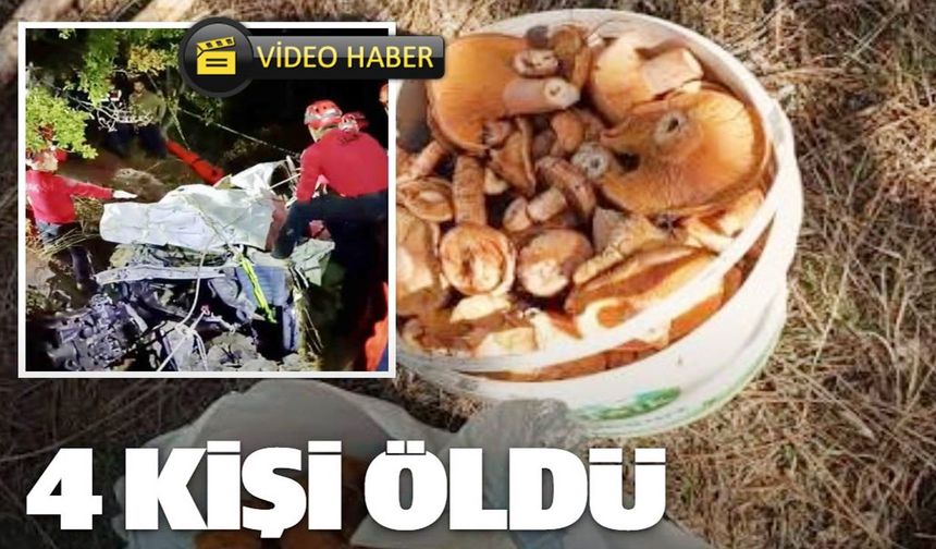 Son dakika: Mantar dönüşü facia! 4 ölü, 1 yaralı