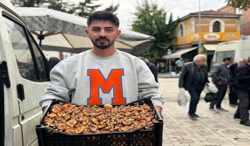 Taşköprü’de kanlıca mantarı bereketi: Kilosu 150 TL’den satılıyor