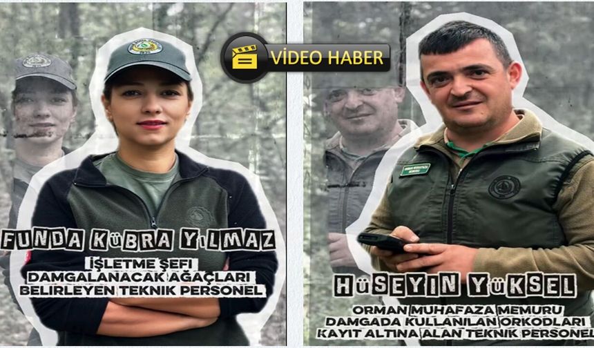 Taşköprü'de ormanın geleceğine damga vuran ekip iş başında
