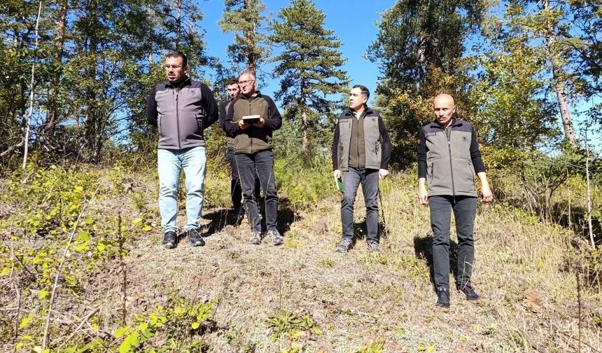 Taşköprü’de 2027 yılı orman çalışmaları yerinde incelendi