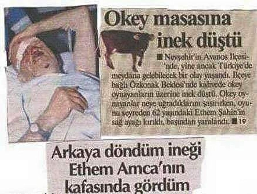 okey masasına inek