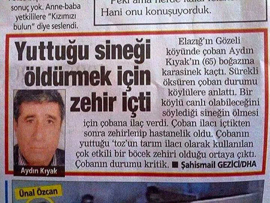 yuttuğu sineği