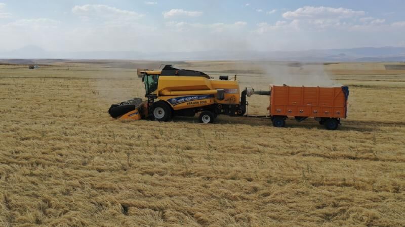 hububat-tarim-agri-aa-2099017_1