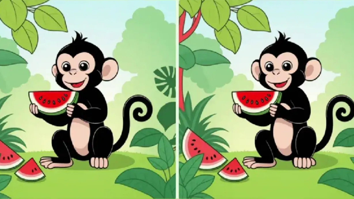Ormanda Karpuz Yiyen Iki Maymun Arasindaki 3 Farki Sadece Yuksek Iqsu Olanlar 12 Saniyede Buluyor Dstw