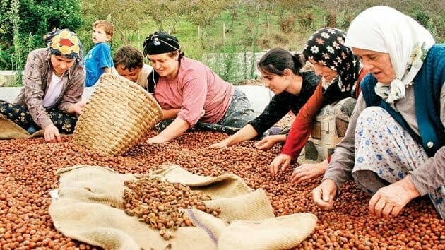 Findik Alaninda Iklim Degisikligi Ile Ilgili Ilk Calismaya Imza Attik