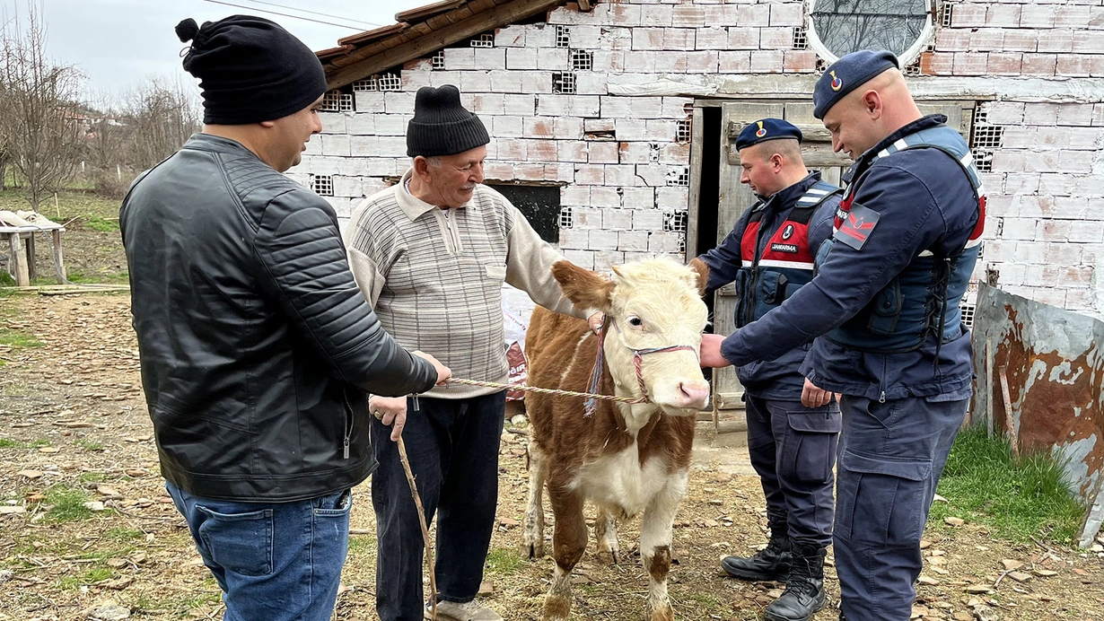 Sinopta Yasli Adamin Calinan Inegi Jandarma Ekiplerince Kastamonuna Bulundu Hc9F