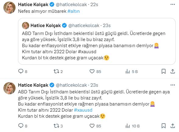 Haticealtin1