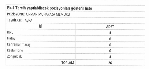 Orman Per 2