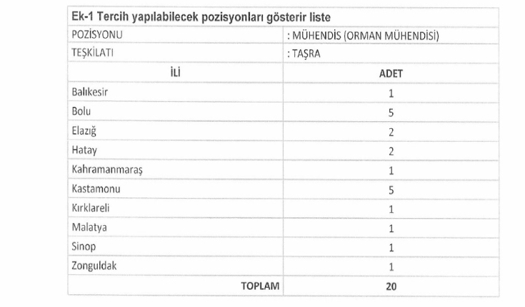 Orman Per