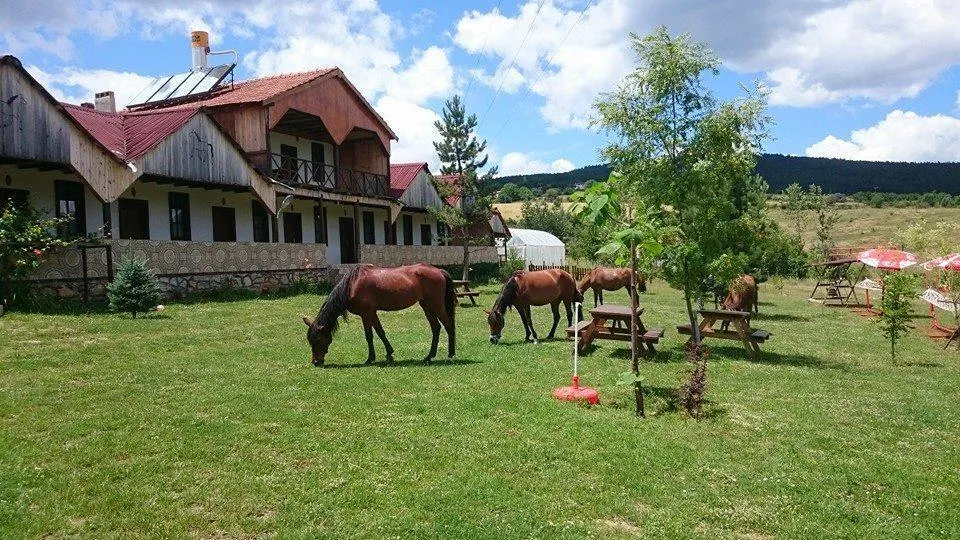 Daday Baris Atli Turizm Dogal Yasam Ciftligi Hotel Comlekciler Exterior 11Zon