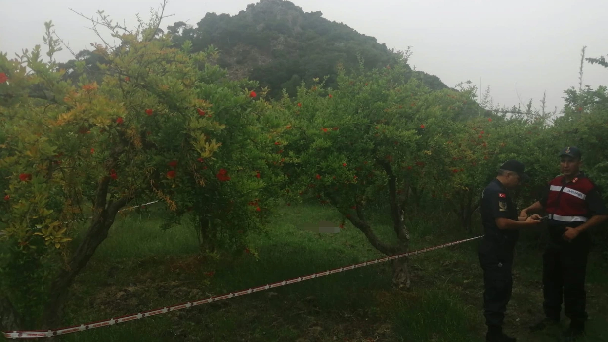 Kayip Olarak Araniyordu Cansiz Bedeni Bulundu 7Llm