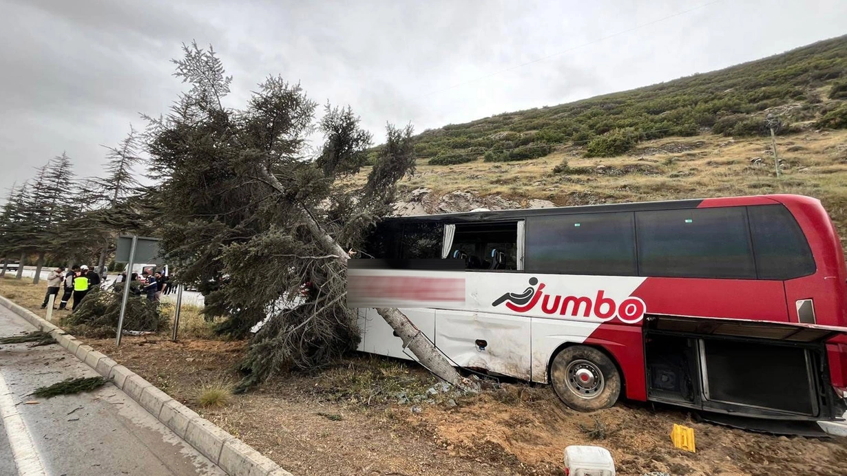 Kontrolden Cikan Yolcu Otobusu Agaca Carpti Cok Sayida Yarali Var Bljq