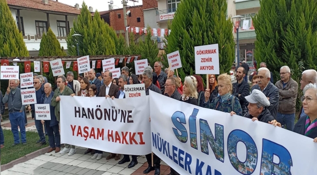 Kastamonu Hanönü Maden Cevre (2)