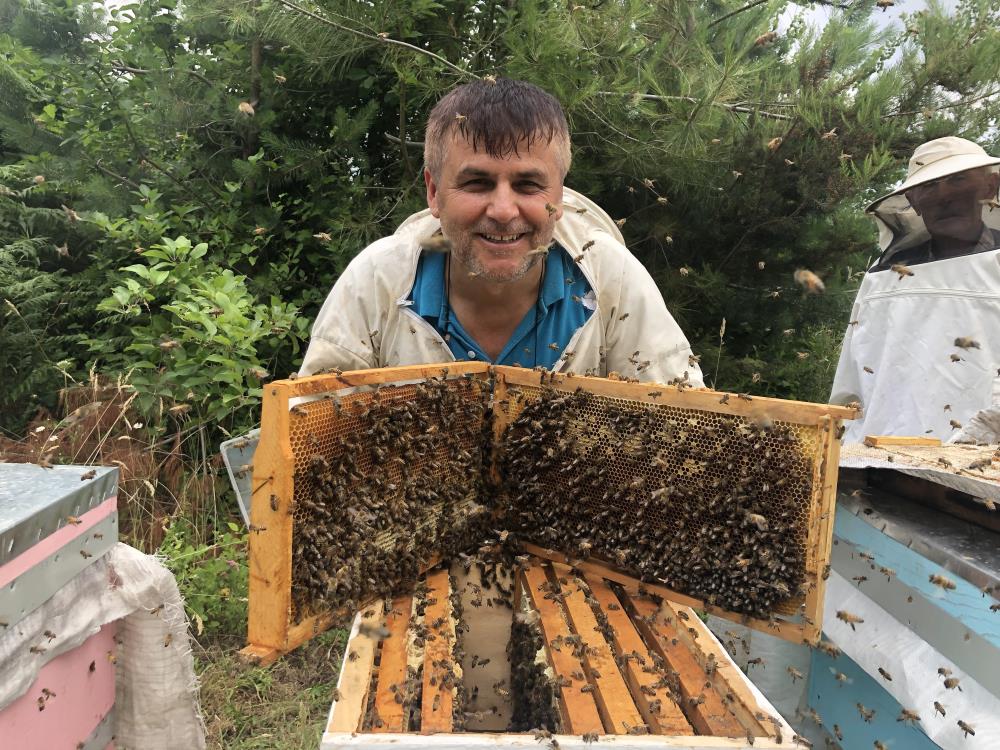 Kastamonu Kestane Bal Aricilar Taskopru (7)