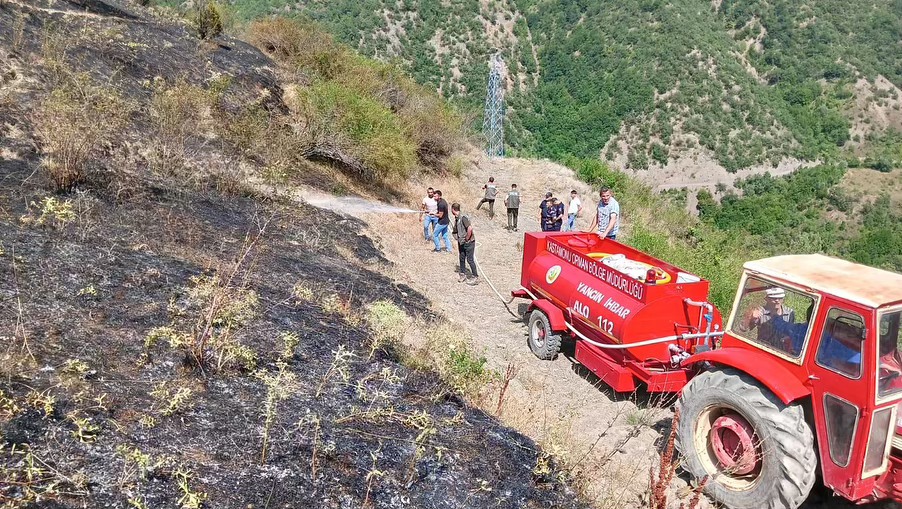 Kastamonu Orma Yangini 2024 Taskopru (2)