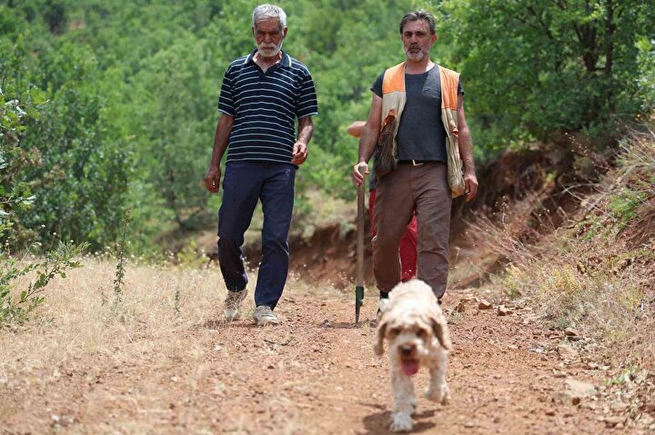 Kastamonu Siyah Turuf Mantari (4)