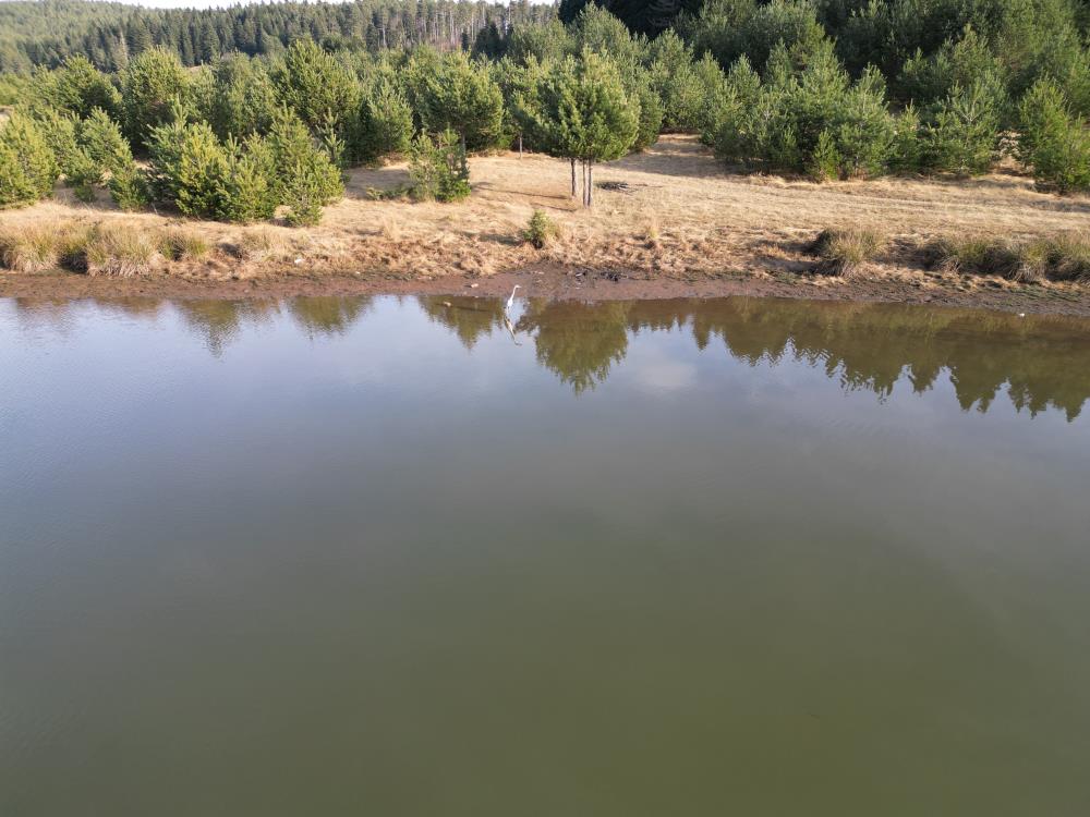 Kastamonu Turizm Yayla Taskopru Tabiat Parki (9)