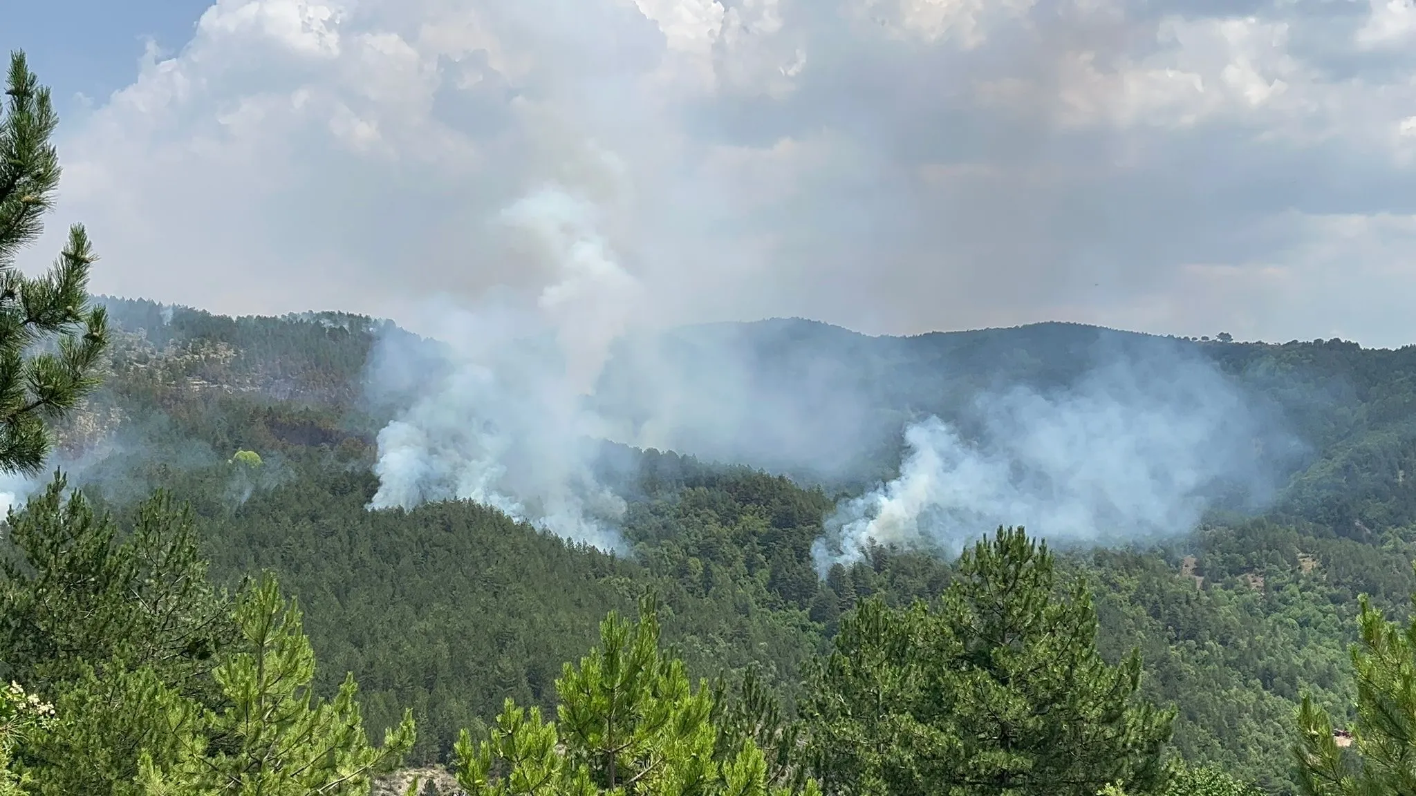 Kastamonu'da Orman 18 Saattir Yanıyor! Yangın Kontrol Altına Alınamadı! Ekipler Seferber Oldu 1