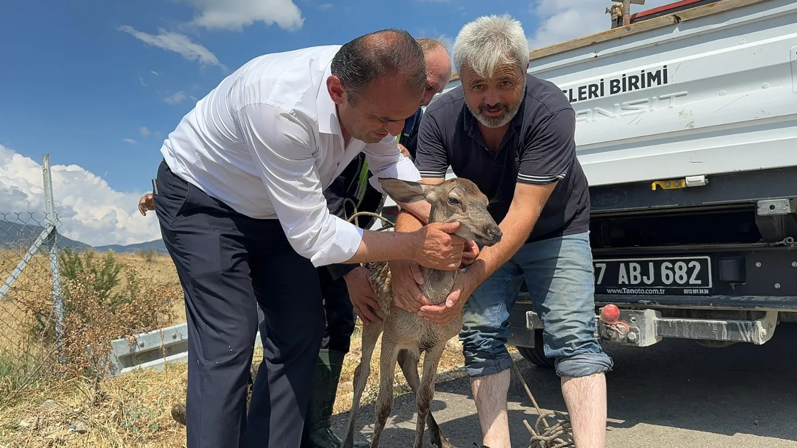 Kastamonu'da Su Kanalına Düşen Yaralı Karaca Kurtarıldı Belediye Ekipleri Hızla Müdahale Etti 1