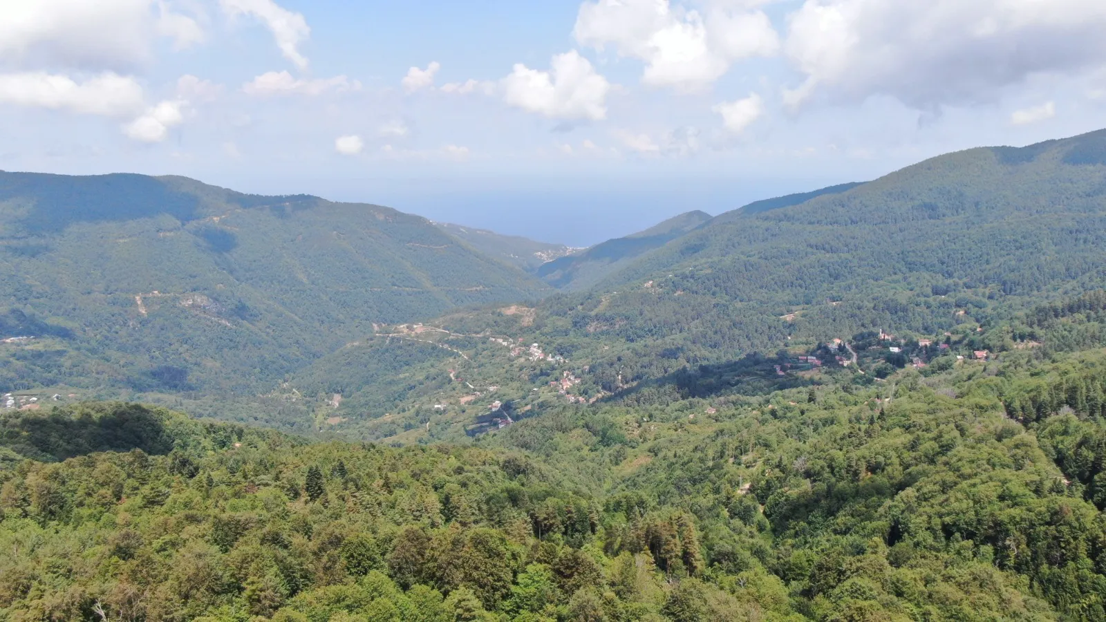 Kastamonu'nun 17 Bin Hektarlık Kestane Ormanlarında Mücadele Sürüyor 1