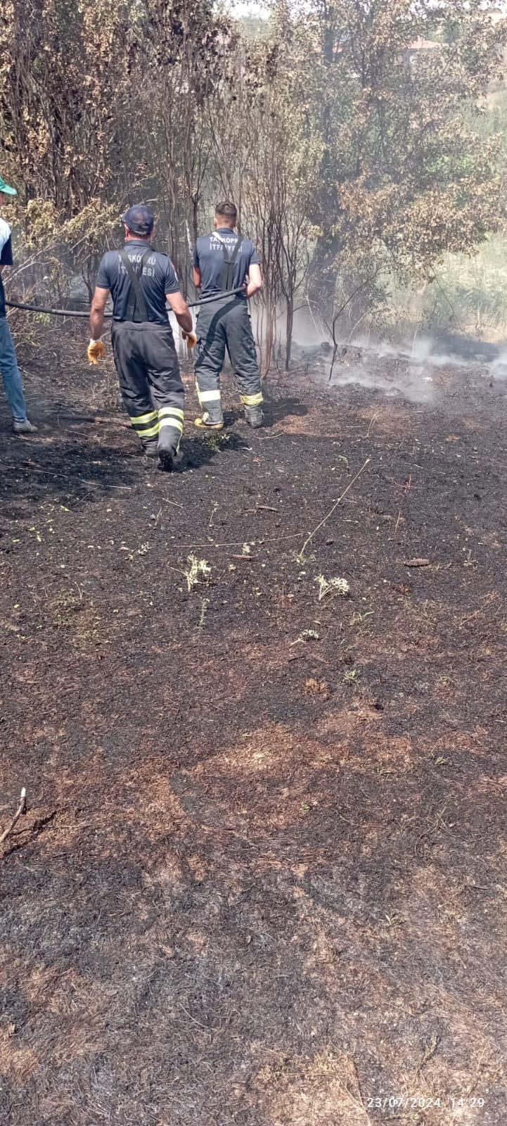 Taskopru Aniz Yangini Kastamonu (1)