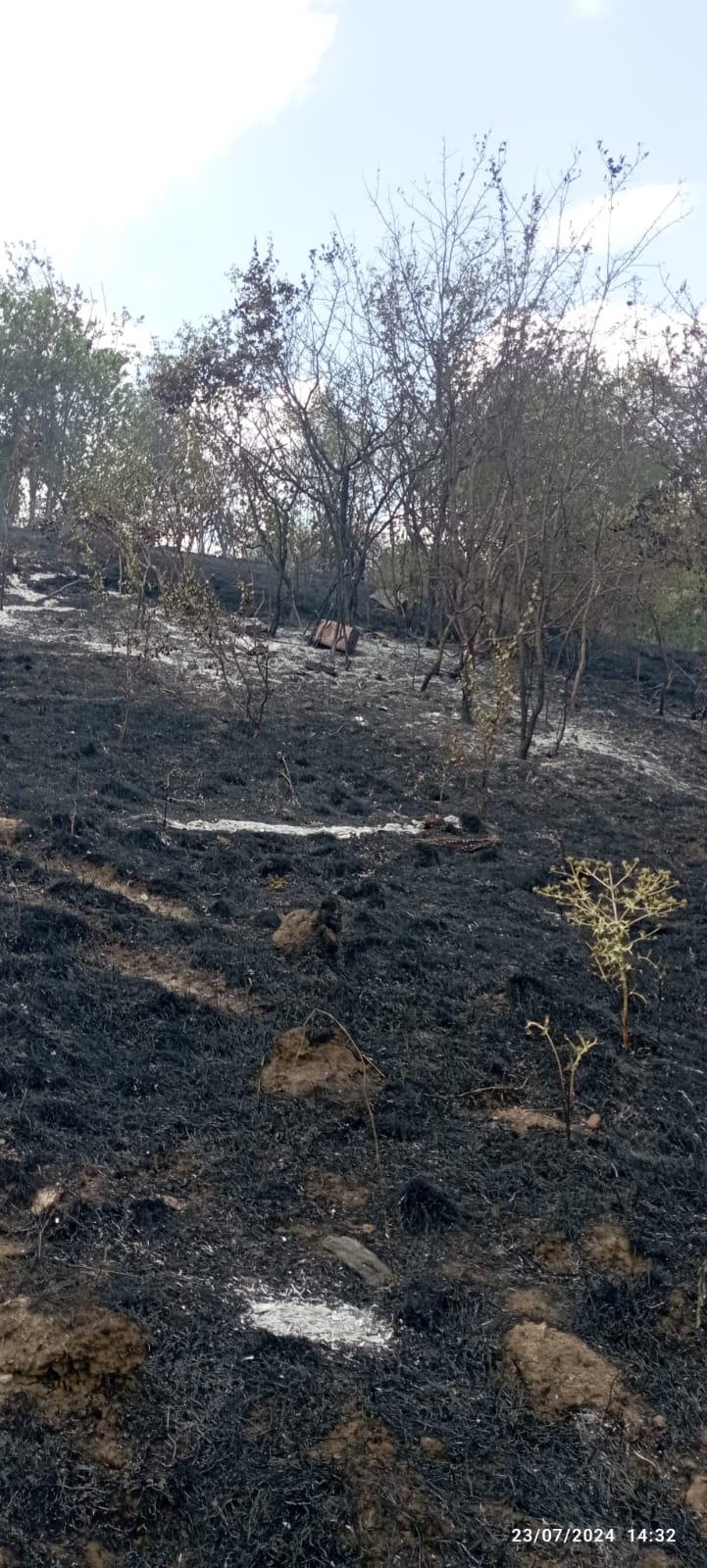 Taskopru Aniz Yangini Kastamonu (2)