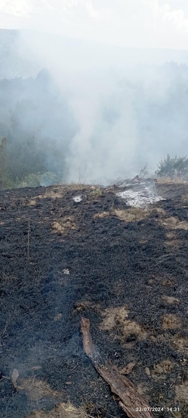 Taskopru Aniz Yangini Kastamonu (4)