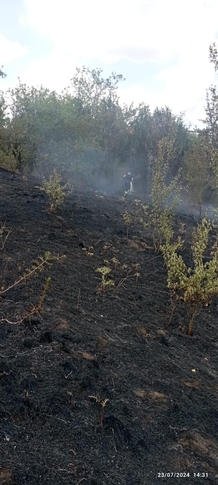 Taskopru Aniz Yangini Kastamonu (5)