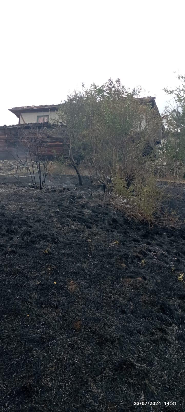 Taskopru Aniz Yangini Kastamonu (6)