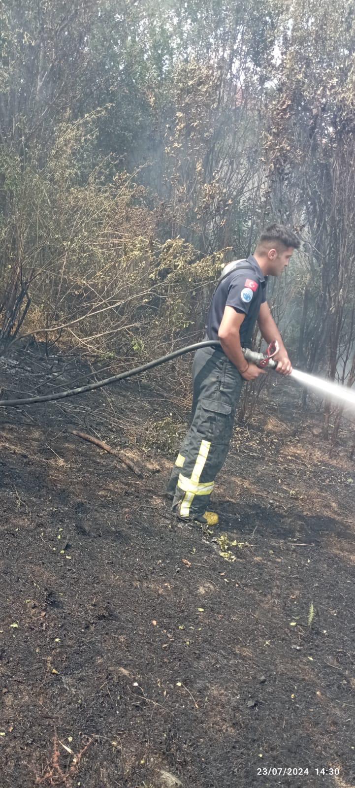 Taskopru Aniz Yangini Kastamonu (7)