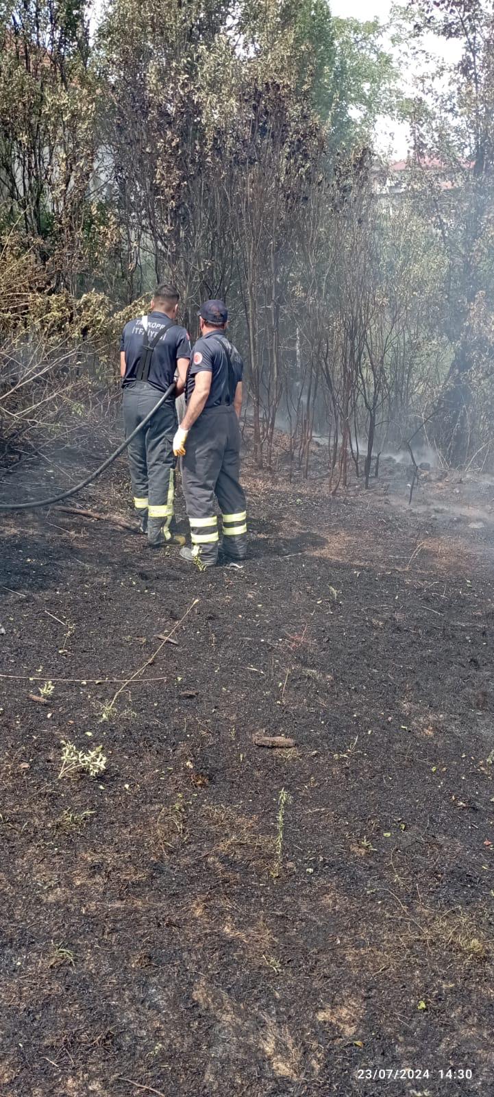 Taskopru Aniz Yangini Kastamonu (8)