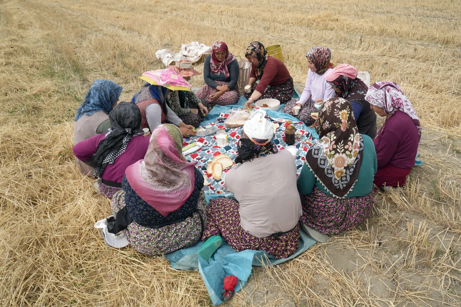 Taşköprü Sarımsağı Hasadı Devam Ediyor! 40 Ile 130 Lira Arasında Satılıyor! 2